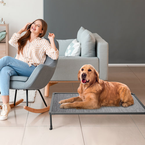 Tucker Murphy Pet™ Tucker Murphy Elevated Bed Chewproof Cooling Raised